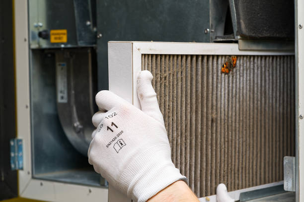 Best Professional Duct Cleaning Services  in Wahneta, FL