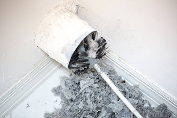 Best Professional Duct Cleaning Services  in Wahneta, FL